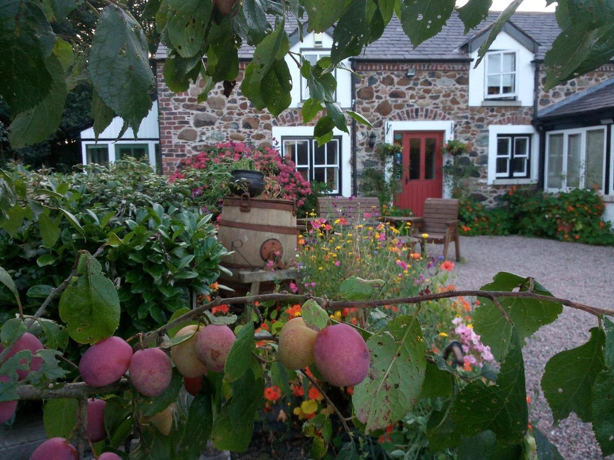 Berwick Hall Cottage Moira  Exterior foto