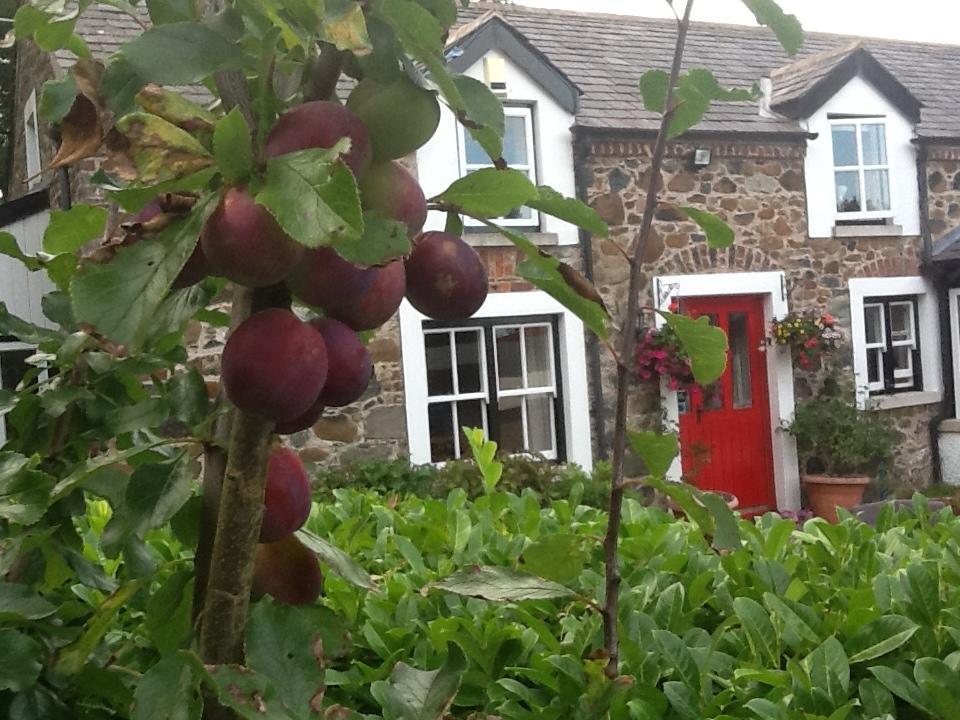 Berwick Hall Cottage Moira  Quarto foto